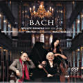 Bach, 6 Flute Sonatas BWV 1030 - 1035 / OUR Recordings