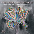 Capriccio Malinconico, Arsenis Selalmazidis, Violin • Tamara Elizbarashvili, Piano