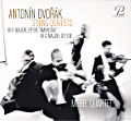 Antonín Dvořák, String Quartets