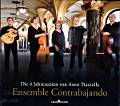 Die 4 Jahreszeiten von Astor Piazzolla, Ensemble Contrabajando