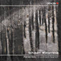 Schubert, Winterreise