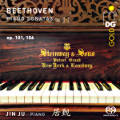 Ludwig van Beethoven, Piano Sonatas Vol. 2