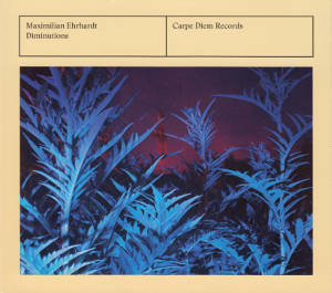 Maximilian Ehrhardt, Diminuitions