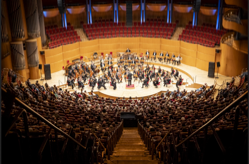 Gürzenich-Orchester Köln, Foto: Holger Talinski
